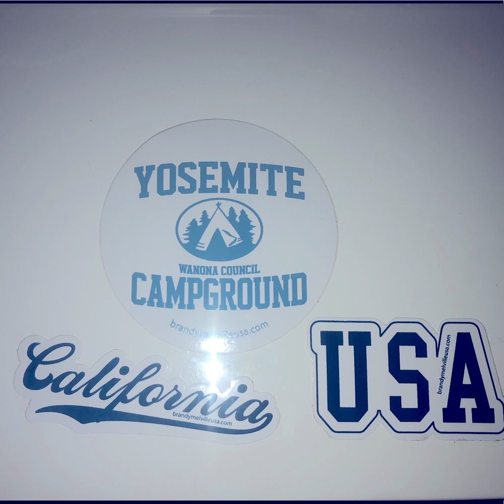 BRANDY MELVILLE STICKERS
